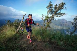 BIB: 
                            <button type="button" onclick="openModal(22443265)" class="btn btn-primary btn-sm float-right btn-popup" data-toggle="modal" data-target=".modal-high-quality">
                        <i class="fas fa-shopping-cart"></i> Add to Cart
                    </button>
                                            <button type="button" onclick="isThisMe(22443265, true)" class="btn btn-success btn-sm float-right btn-popup btn-isme hidden" data-toggle="tooltip" data-placement="bottom" title="นี่คือรูปของคุณใช่ไหม คลิกที่นี่เพื่อเอาเข้าอัลบั้ม">
                        <i class="fas fa-plus"></i> Add to album
                    </button>
                    <button type="button" onclick="isThisMe(22443265, false)" class="btn btn-warning btn-sm float-right btn-popup btn-isnotme hidden">
                        <i class="fas fa-ban"></i> Remove from album
                    </button>